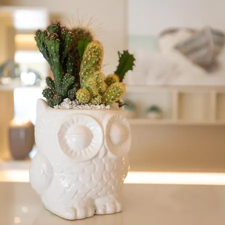 Capovaticano Luxury Capo Vaticano