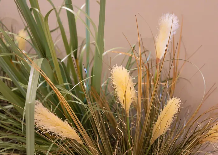 Capovaticano Luxury 3*