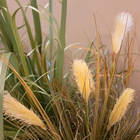 Capovaticano Luxury 3*